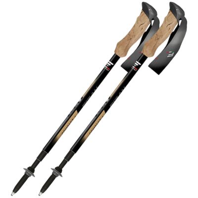 Fizan Compact Tech 4 トレッキングポール