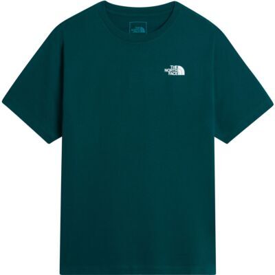 The North Face M Evolution Box NSE Regular S/S Tee 男性用Tシャツ