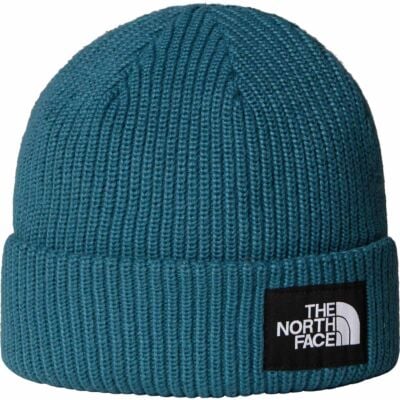 The North Face Salty Lined Beanie ビーニー