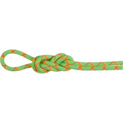 Mammut 8.0 Alpine Core Protect Dry クライミング用ハーフロープ