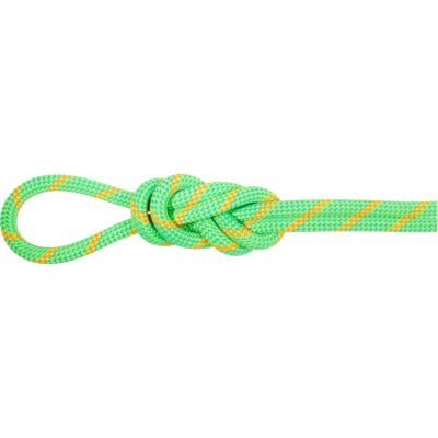 Mammut 8.0 Alpine Dry Rope クライミングロープ