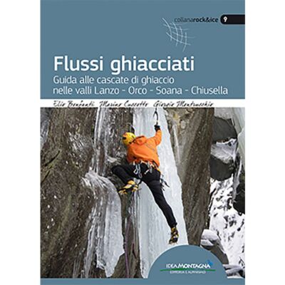 Idea Montagna Flussi Ghiacciati 氷の上でのクライミングガイド