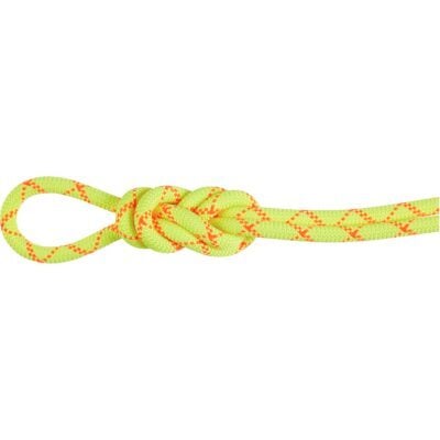 Mammut 9.5 Alpine Core Protect Dry クライミングロープ