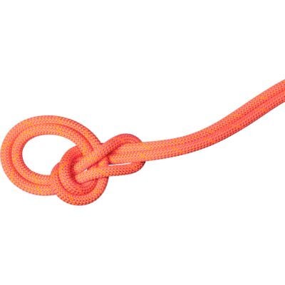 Mammut 9.8 Crag Dry Rope クライミングロープ