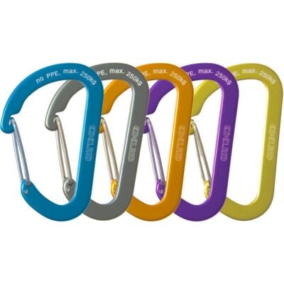 Edelrid Aranya キーチェーンカラビナ