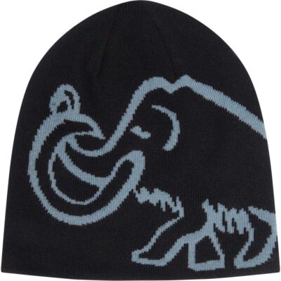 Mammut Mammut Logo Beanie Reversible ニットキャップ