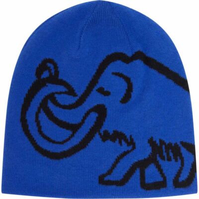 Mammut Mammut Logo Beanie Reversible ニットキャップ