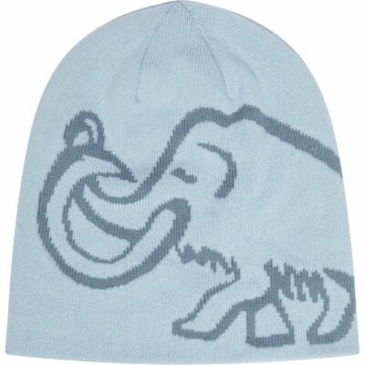Mammut Mammut Logo Beanie Reversible ニットキャップ