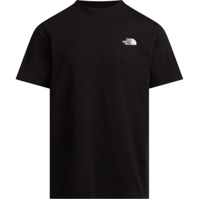 The North Face M Box NSE Celebration Regular S/S Tee メンズ Tシャツ