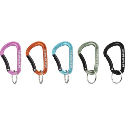 Mammut Mammut Mini Carabiner Classic Keylock S キーホルダー用カラビナ