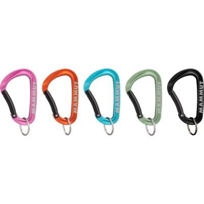Mammut Mammut Mini Carabiner Workhorse Keylock L キーホルダー