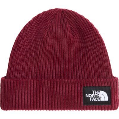 The North Face Salty Lined Beanie ビーニー