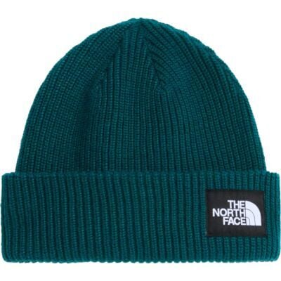 The North Face Salty Lined Beanie ビーニー