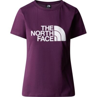 The North Face W S/S Easy Tee レディース Tシャツ