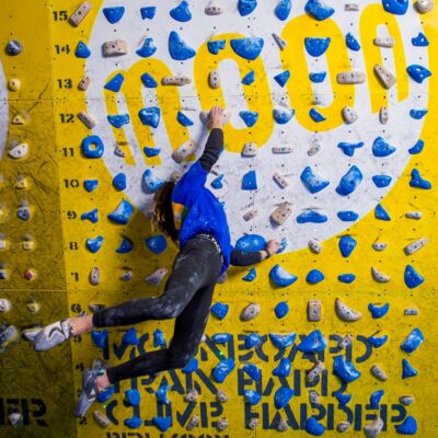 Moon School Holds - Set D 40 クライミングホールド