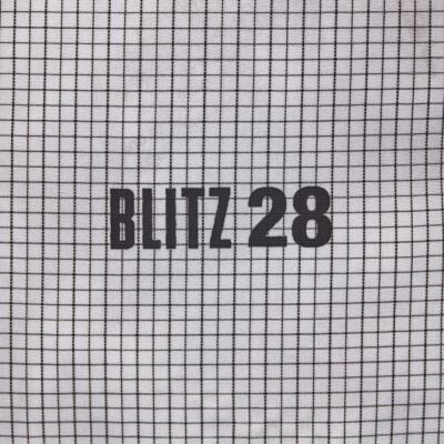 BD Black Diamond Blitz 28 アルパインザック