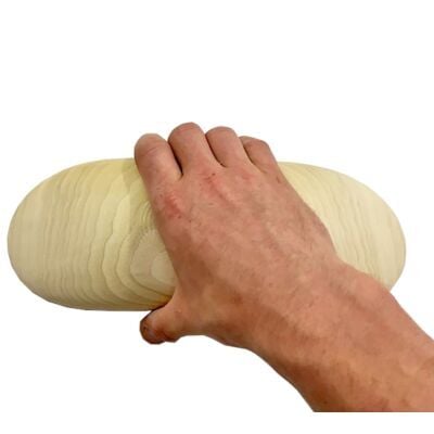 Beastmaker Beefy Pinch クライミングトレーニングホールド