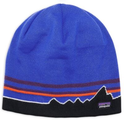 Patagonia Beanie Hat ビーニー帽