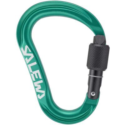 SALEWA Ortles HMS M クライミング用スクリューゲートカラビナ