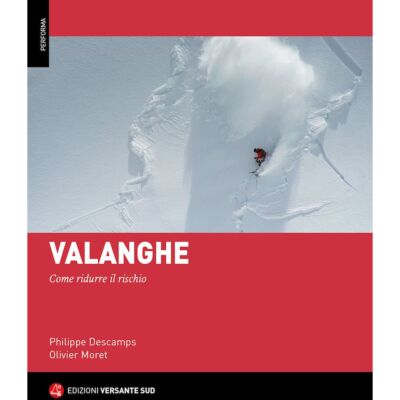 Versante Sud Valanghe アルパインガイド