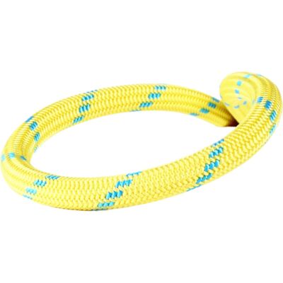 Edelweiss Curve Unicore 9.8 mm クライミングロープ