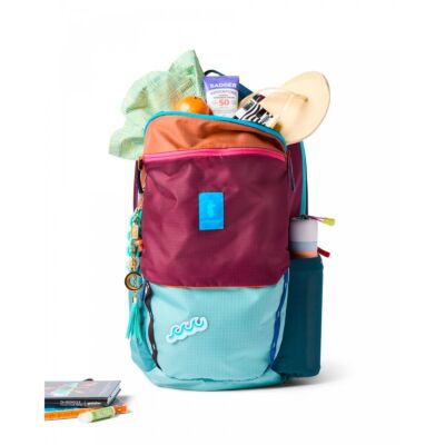 Cotopaxi Allpa 26L Daypack - Del Día 旅行用バックパック