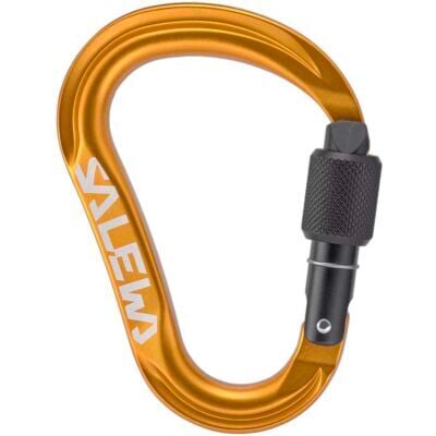 SALEWA Ortles HMS M クライミング用スクリューゲートカラビナ