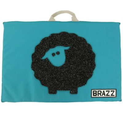 Brazz Dolly 2.0 BrazzStarter クラッシュパッド ボルダリング