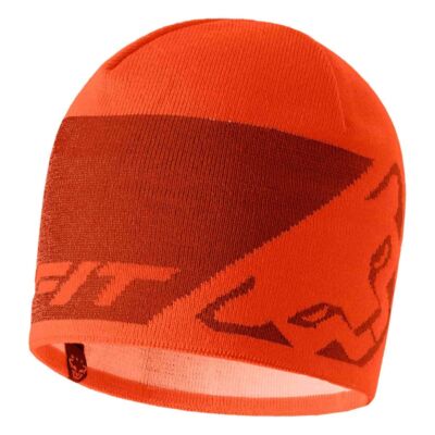Dynafit Leopard Logo Beanie スキー登山用ビーニー