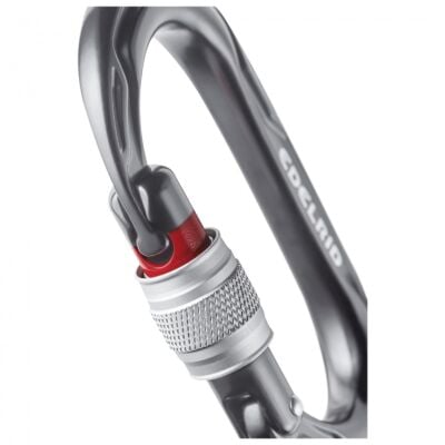 Edelrid Kiwi Screw クライミング用スクリューカラビナ