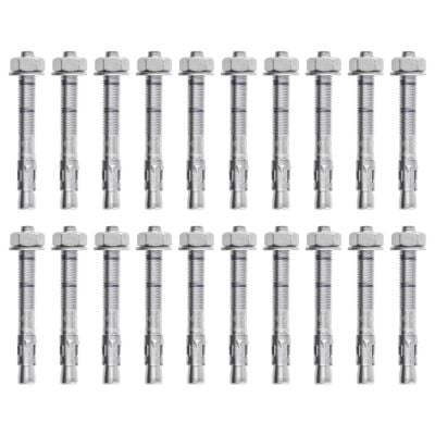 Fixe Box of M10 × 70 mm bolts エキスパンションボルト (20個入り)