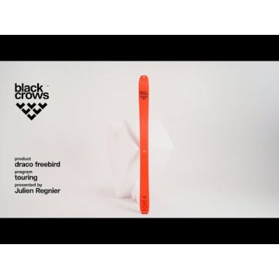 Black Crows Draco Freebird フリーライドスキー