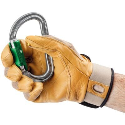 Petzl Am'd Pin-Lock (10個入り) ロック解除可能カラビナ