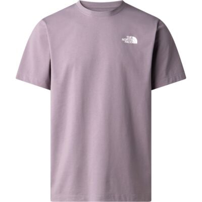 The North Face M Box NSE Celebration Regular S/S Tee メンズ Tシャツ