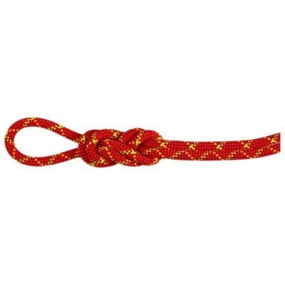 Mammut 8.0 Alpine Core Protect Dry クライミング用ハーフロープ