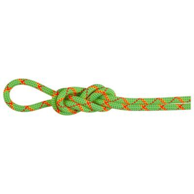 Mammut 8.0 Alpine Core Protect Dry クライミング用ハーフロープ