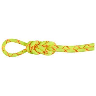 Mammut 9.5 Alpine Core Protect Dry クライミングロープ