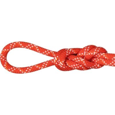 Mammut 9.5 Gym Classic Rope クライミングロープ