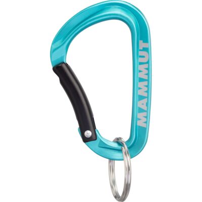 Mammut Mammut Mini Carabiner Classic Keylock S キーホルダー用カラビナ