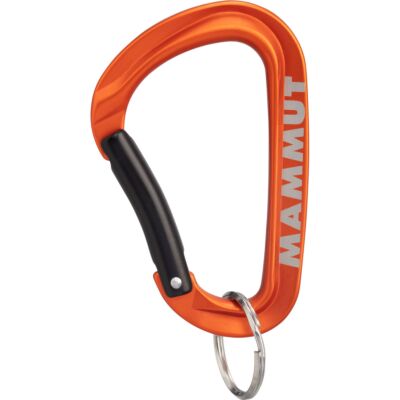 Mammut Mammut Mini Carabiner Workhorse Keylock L キーホルダー