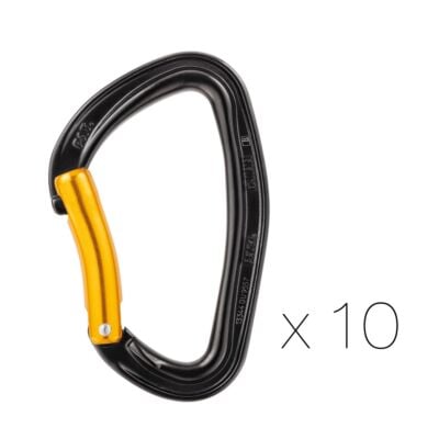 Petzl Djinn Steel 10個セット クライミングカラビナ