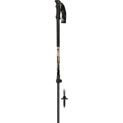 Fizan Aria Alu ツーリング用ポール