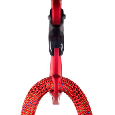 Fixe Picot Curve カラビナ