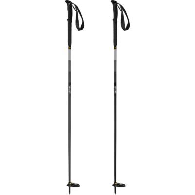 Grivel Ski Tour スキー登山用ポール