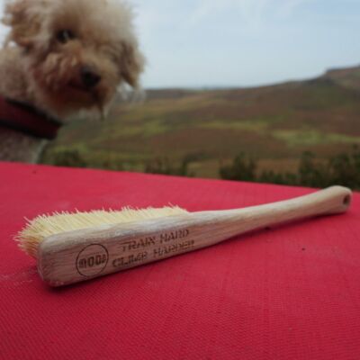 Moon Voyager Pro Brush ボルダリング クライミングブラシ