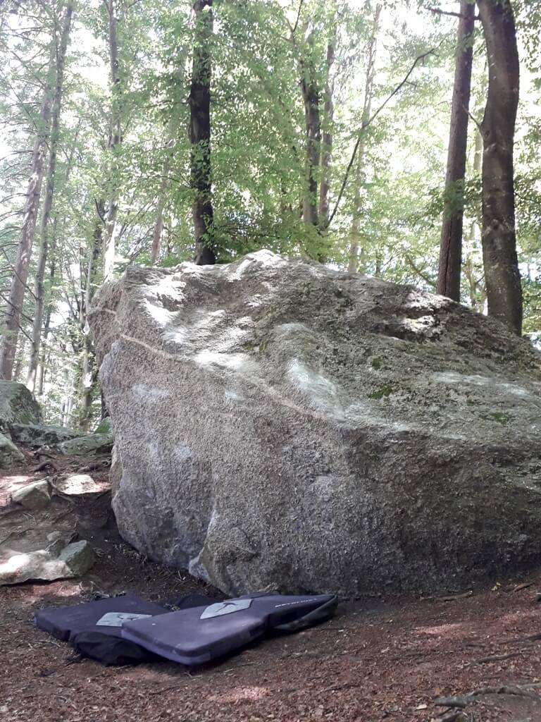 木々の間にある大きな灰色の岩と、地面に置かれた濃い紫のクラッシュパッド