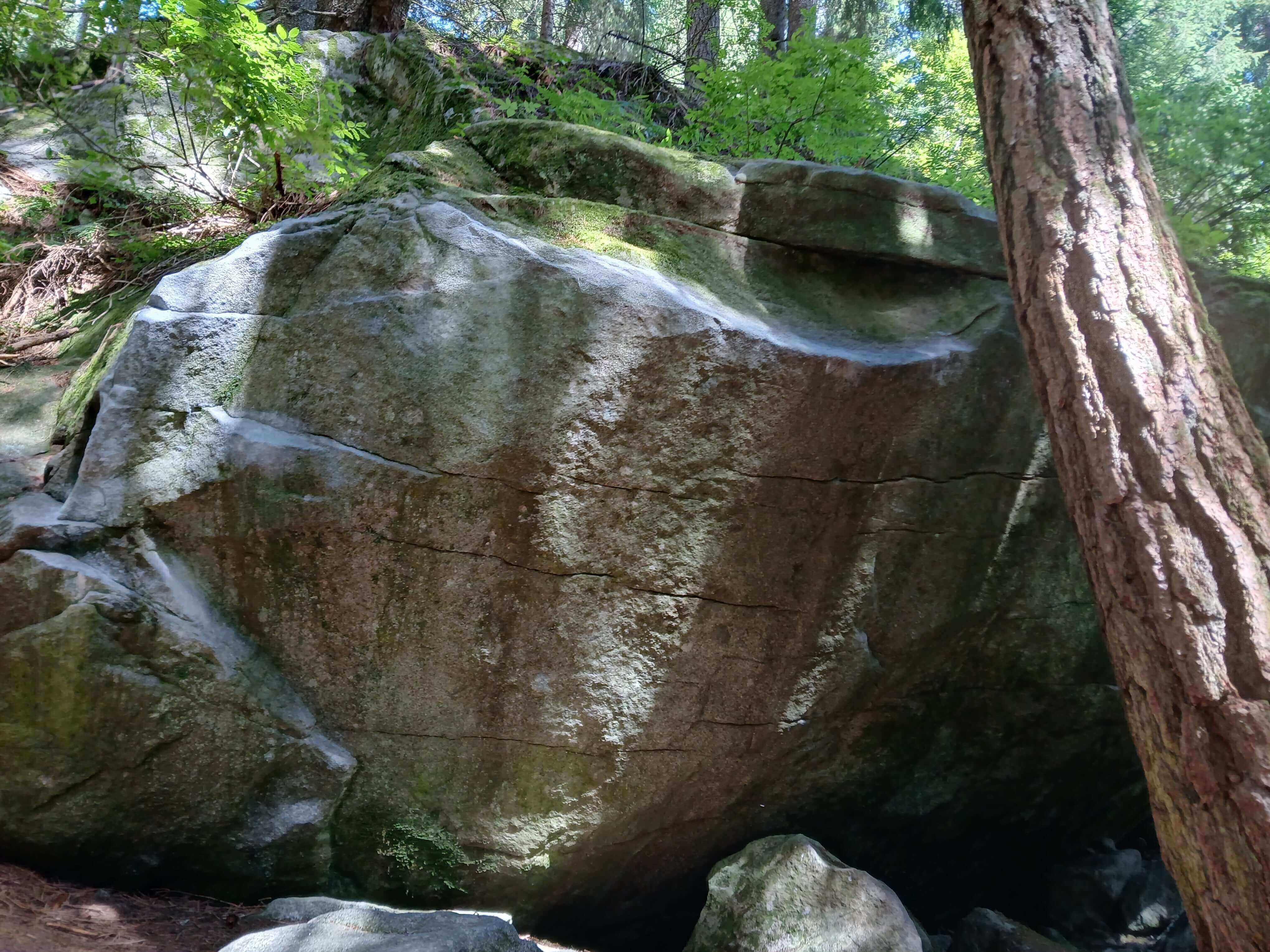 木々の間にある大きな岩 木々の間にある大きな岩
