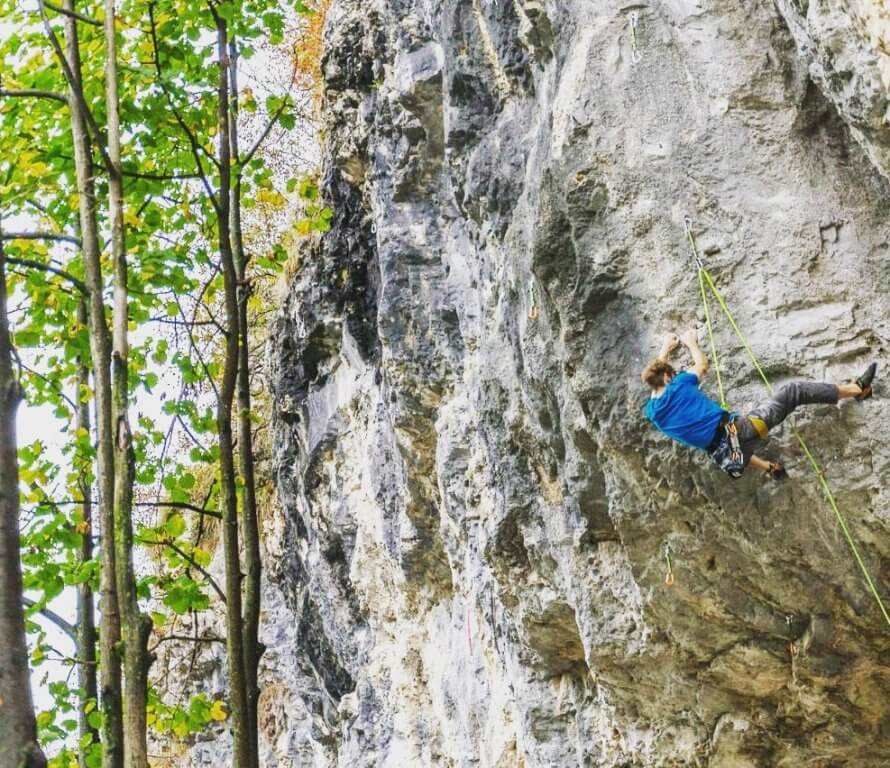 木々の隣の岩壁で、青い上着を着てロープで登る人