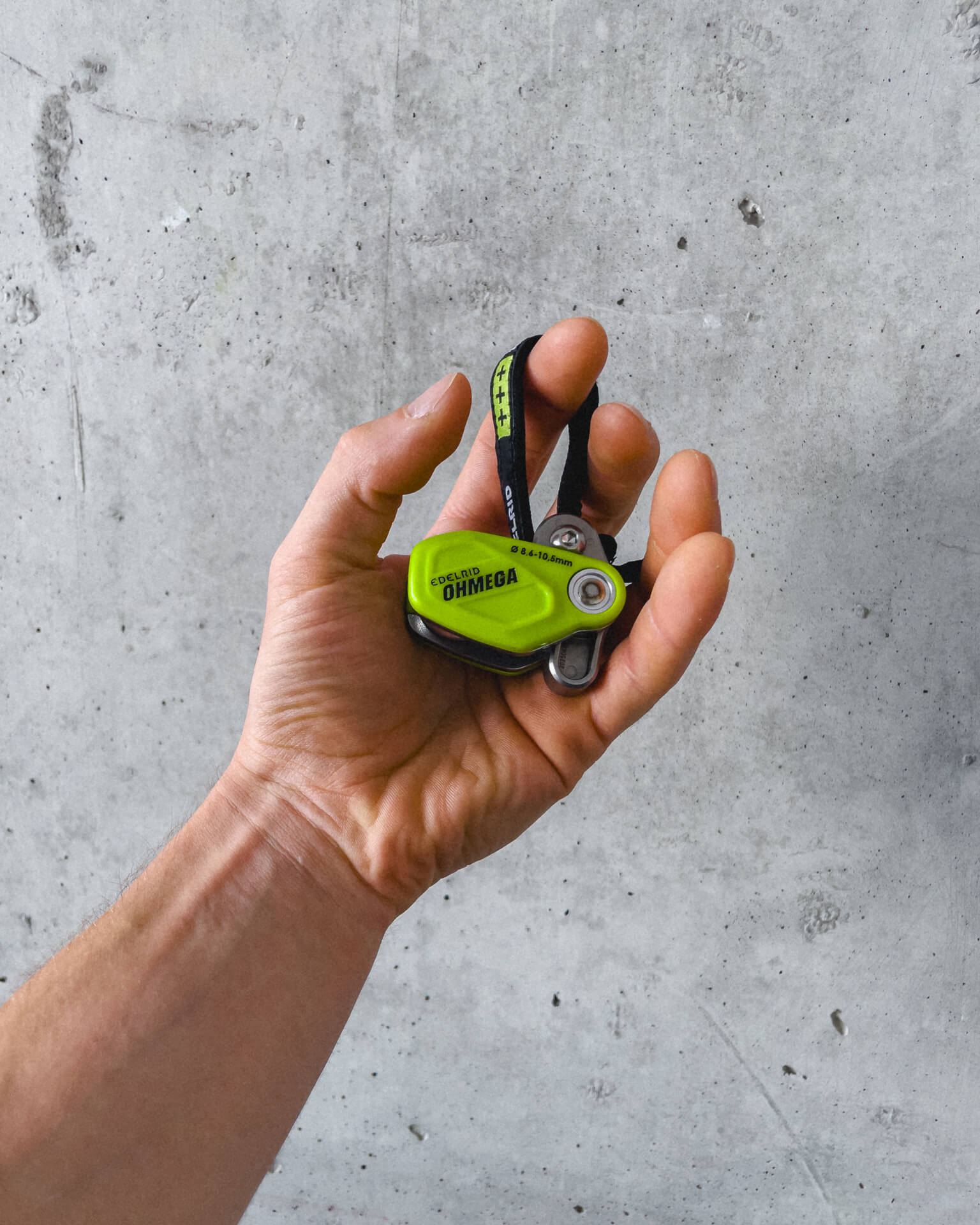 開いた手のひらに載せた小型のEDELRID OHMEGA
