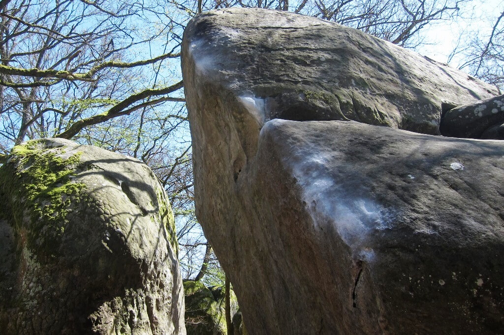 fontainebleau boulder 木々や苔の間にある、白い印の付いた岩